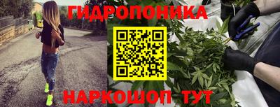 мяу мяу мука Северобайкальск