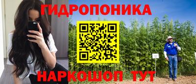 мяу мяу мука Северобайкальск