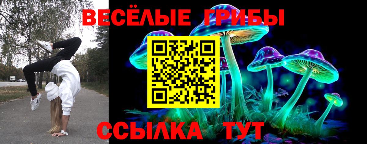 Галлюциногенные грибы мицелий  Вход с VPN  продажа наркотиков  Осинники 